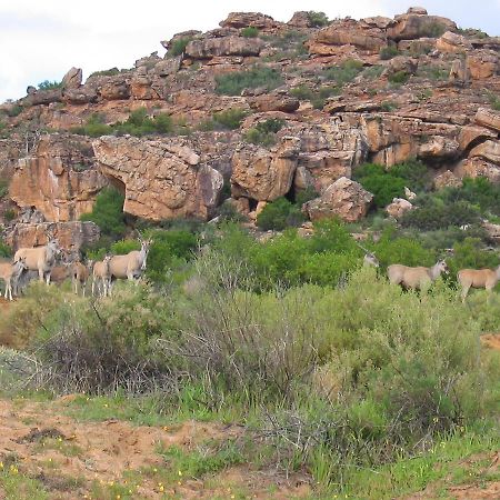 Vila Traveller'S Rest Clanwilliam Exteriér fotografie